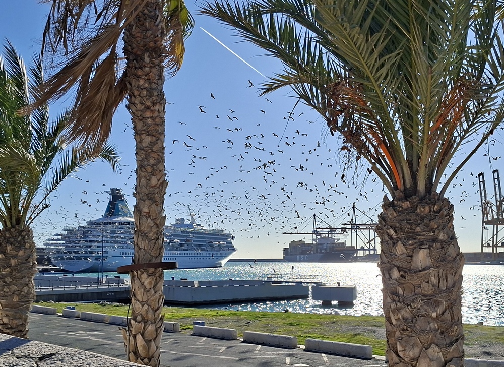 2026-01-10 Malaga 20260110_153259_ji.jpg